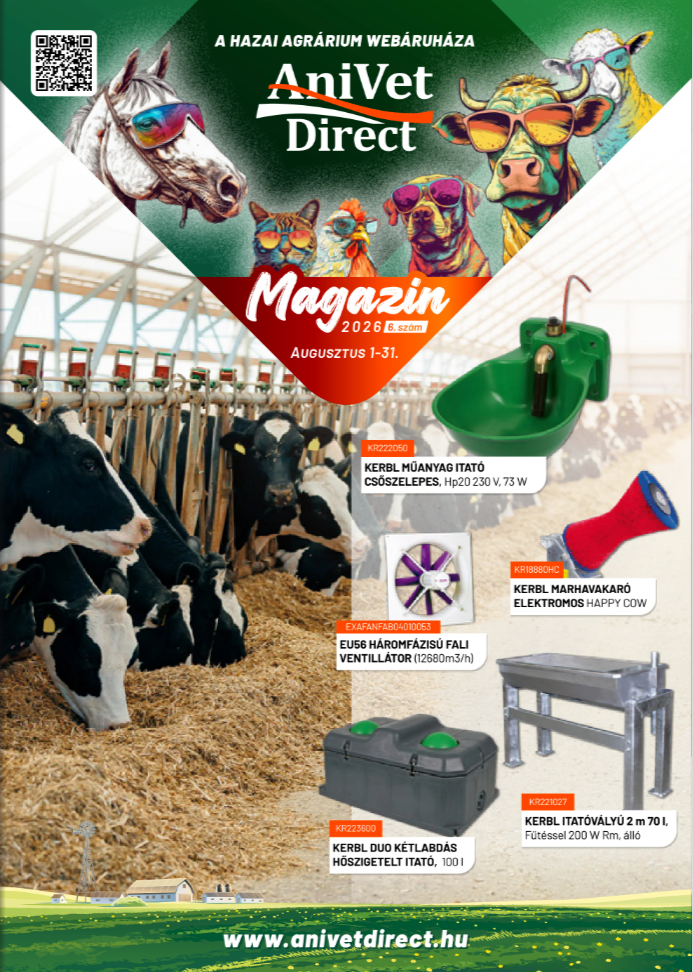 Anivetdirect magazin augusztus