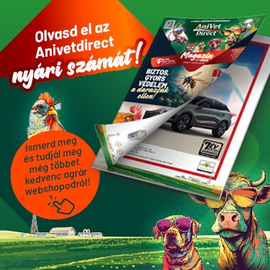 Új AD nyári magazin