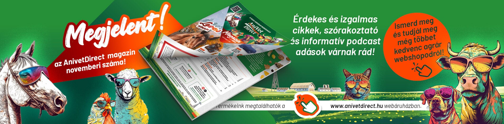 AD magazin novemberi magazin