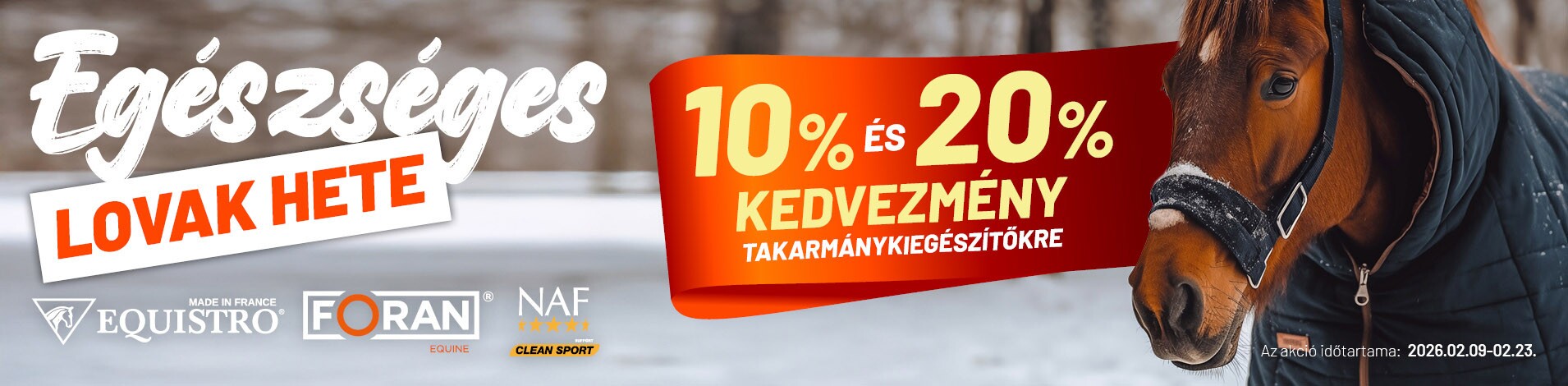 Egészséges lovak hete