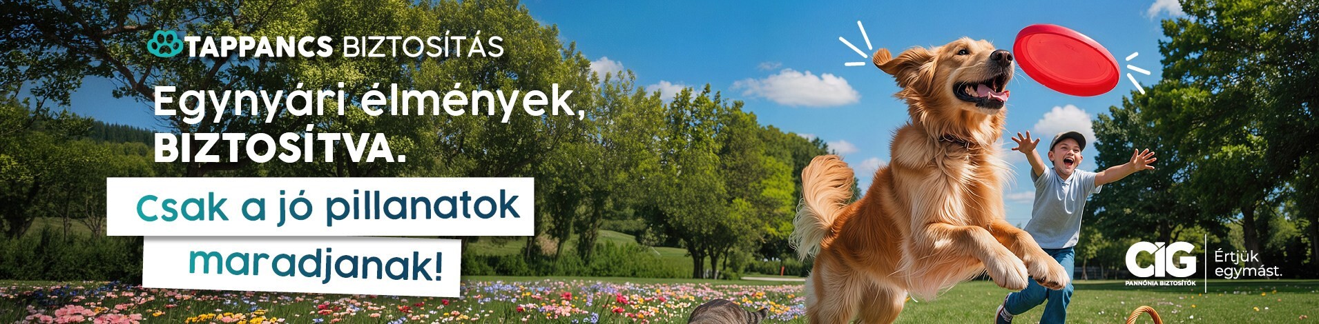 Tappancsbiztosítás