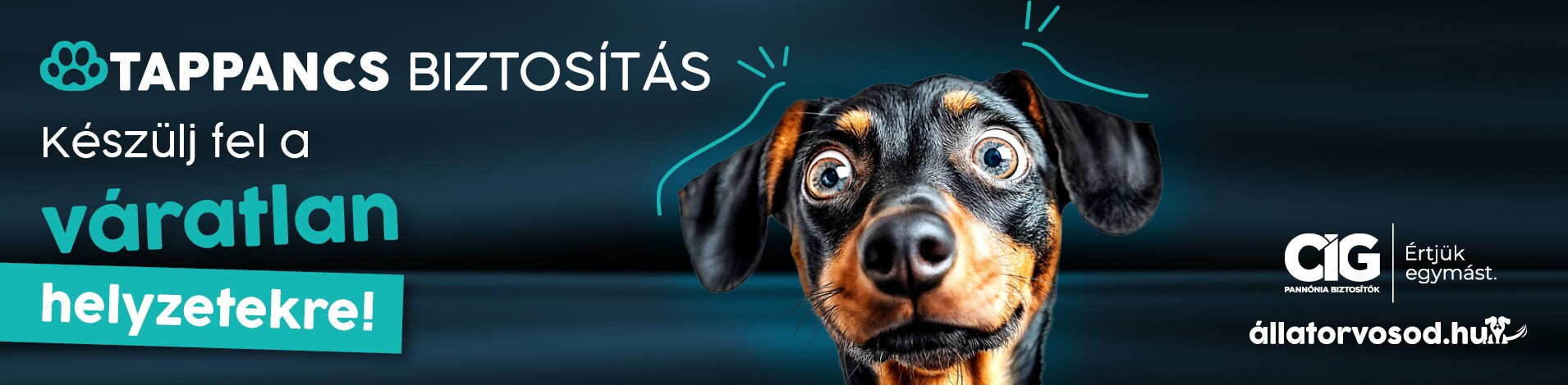 Tappancsbiztosítás