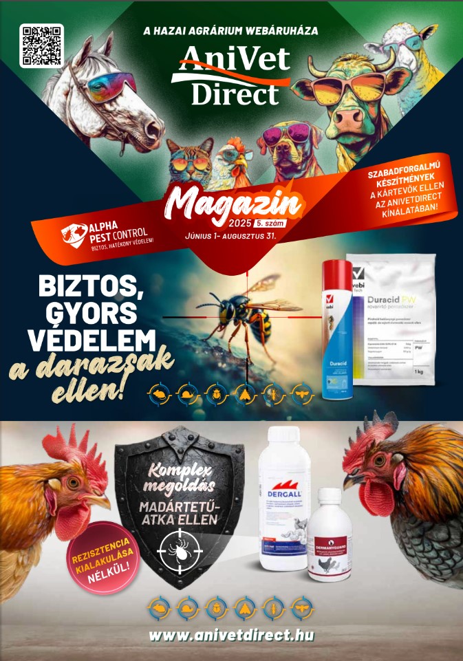 Anivetdirect magazin június-augusztus