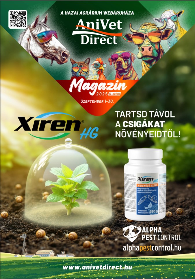 Anivetdirect magazin szeptember