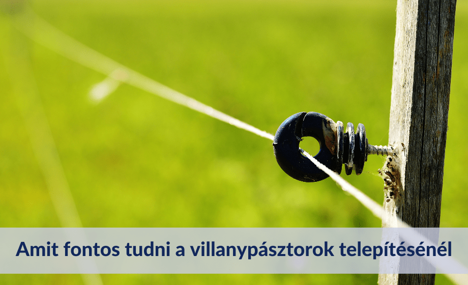 A szakértő válaszol: amit fontos tudni a villanypásztorok telepítésénél