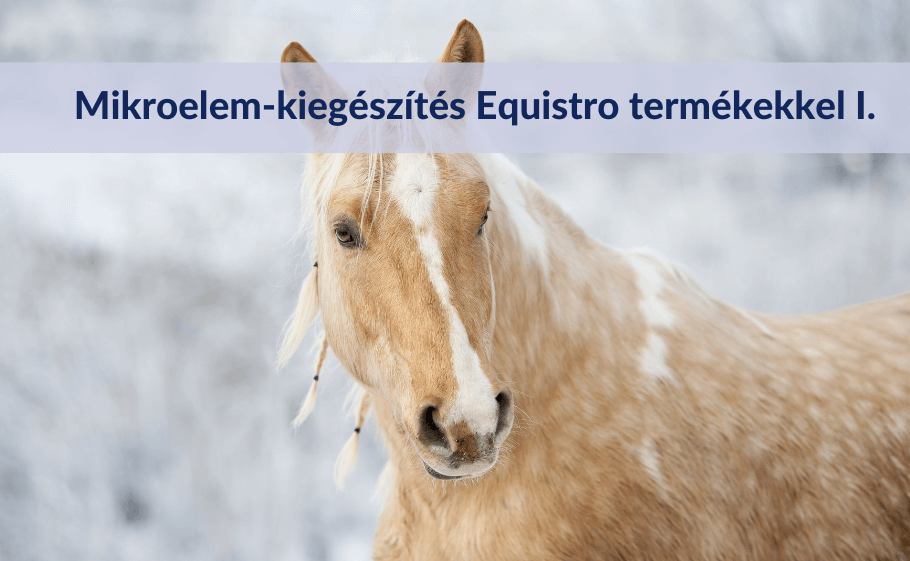 Mikroelem-kiegészítés Equistro termékekkel I.