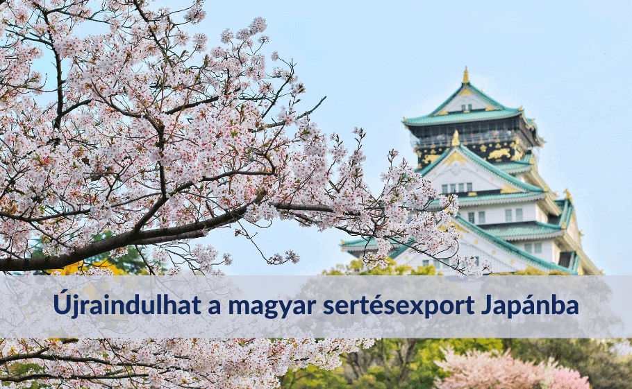 Újraindulhat a magyar sertésexport Japánba