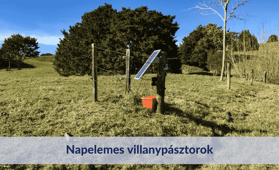 Napelemes villanypásztor: a jövő technológiája a haszonállat-tartásban