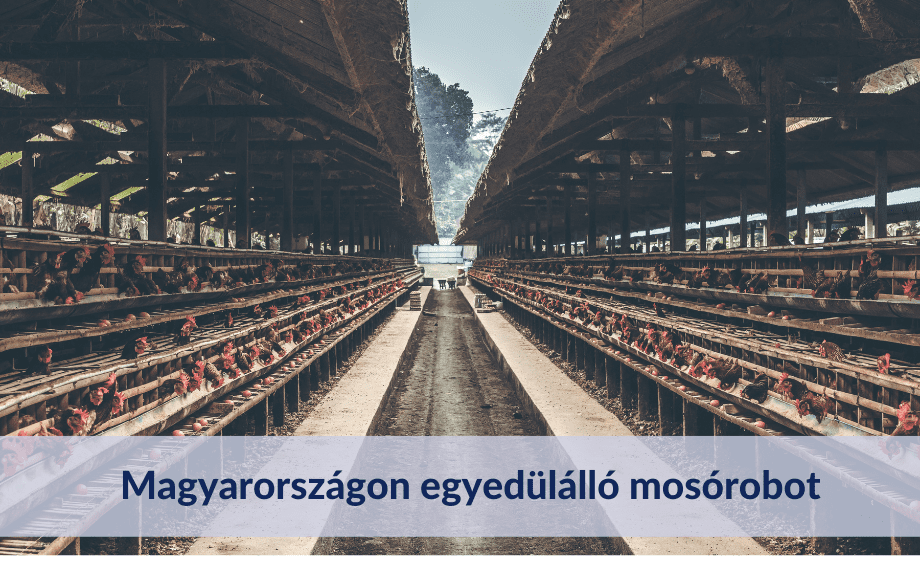 Magyarországon egyedülálló mosórobot baromfi istállók számára