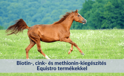 Biotin-, cink- és methionin-kiegészítés Equistro termékekkel