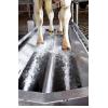Vink hydromatic csülökfertőtlenítő rendszer VINKKSG