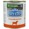 Vet Life Dog Konzerv Convalescence 300g CVL0300001
