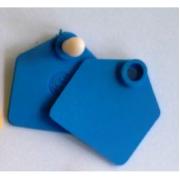 Füljelző Allflex Borjú Kék Midi  LFB