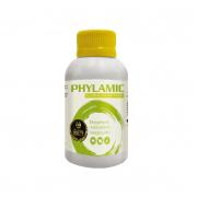 Phylamic 100 Ml