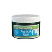 NAF NaturalintX Arnica gél 400G