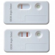 IDEXX Angio teszt 20 db