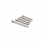 Cortical Screw Ss 4,5/24 Mm