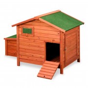 GAUN Berlin tyúkól