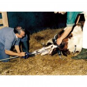 KERBL Kuplungos Ellető 2060 Mechanikával műanyag Támasztékkal 180cm