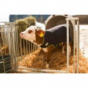 KERBL Borjútakaró Premium, 70 cm