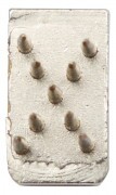 KERBL Tetováló Betű X 7 Mm