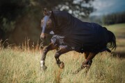 KERBL FinoStretch légymaszk fekete, Pony