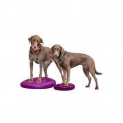 Paw Prosper FitPaws alakú razzleberry balance párna 22 cm