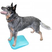 Paw Prosper FitPaws egyensúly rámpa, Aqua