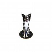 Paw Prosper FitPaws 20 cm-es kör alakú billenő deszka