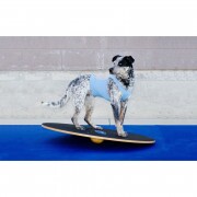 Paw Prosper FitPaws 36 cm-es kör alakú billenő deszka