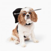 Paw Prosper Muffin's Halo vakvezető vak kutyáknak - Fekete Braille-írás - 2-es méret