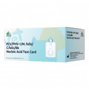 PL FCV / FHV-1 / Mycoplasma felis / Chlamydia felis / Bordetella bronchiseptica nukleinsav-alapú