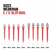 WERKMAN patkószeg  E 2 / 250db ( 41 mm )