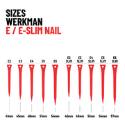 WERKMAN patkószeg  ESL 4 / 250db ( 51 mm )