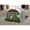 KERBL CalfHouse Premium XL borjúház, kerítéssel KR14539