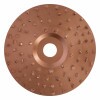KERBL Patacsiszoló korong, 125 mm, 40 KR16353