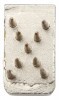 KERBL Tetováló Betű X 7 Mm KR19216/X