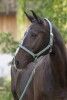 KERBL Doria kötőfék sötétkék, Pony KR3228204