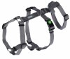 KERBL Miami Panic hám, szürke, 15 mm, 38-52 cm KR80040