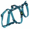 KERBL Miami Panic hám, petrol, 25 mm, 64-100 cm KR80045