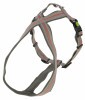 KERBL Xenos hám, szürke/piros, 50-80 cm, 25 mm KR80681