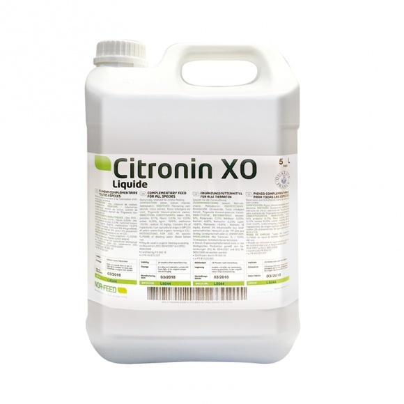 Citronin XO 5 l