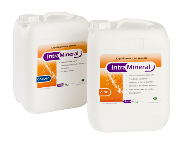 Intra Mineral Duo 10 l