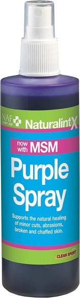 NAF NaturalintX Aloe Vera Spray 240ML