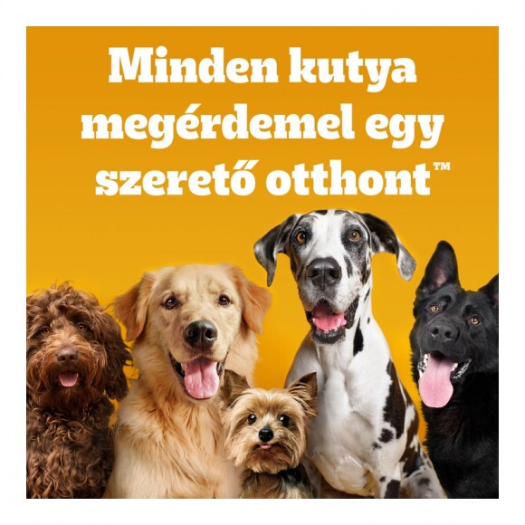Pedigree Biscrok 200g