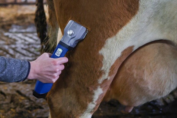 KERBL Bonum Pro akkumulátoros nyírógép 2 akkumulátorral, kék