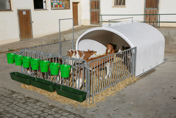 Borjúnevelő Ház Premium XXL Komplett Előtétketreccel 