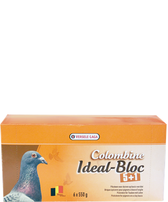 Colombine Ideal Bloc 5+1