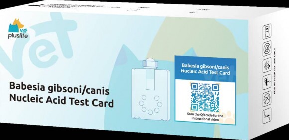PL Babesia gibsoni / Babesia canis nukleinsav-alapú tesztkazetta 5 db