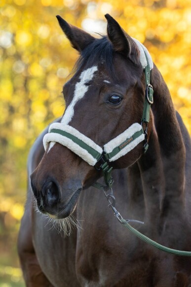 Covalliero Soft kötőfék, forest green, cob